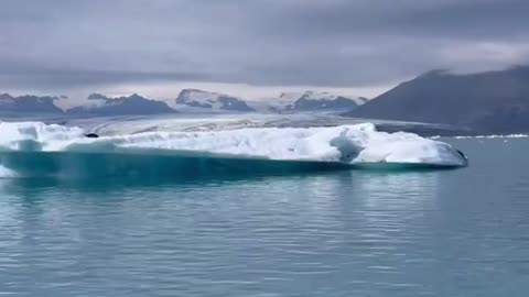 Boat across the glacier and feel another place