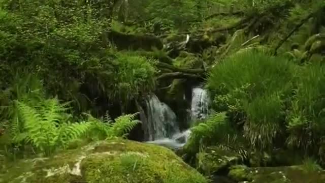 Relaxing Waterfall Sound