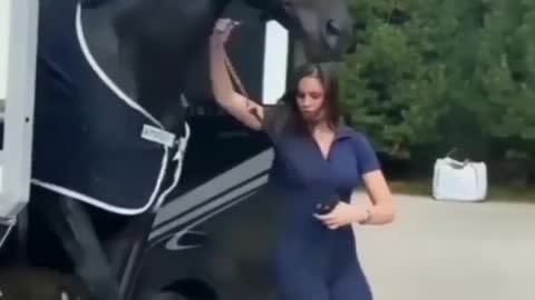 Big horse