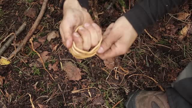 20 Wilderness Survival Tips and Bushcraft Skills