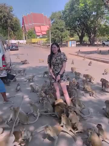 Visited Lopburi, Thailand with lots of monkeys