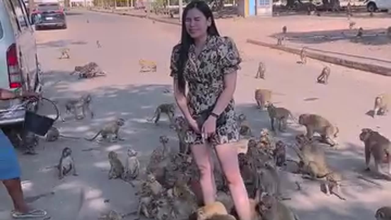 Visited Lopburi, Thailand with lots of monkeys