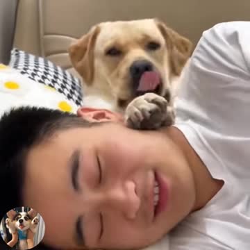 When you pet a dodgy dog 🤣🤣🤣