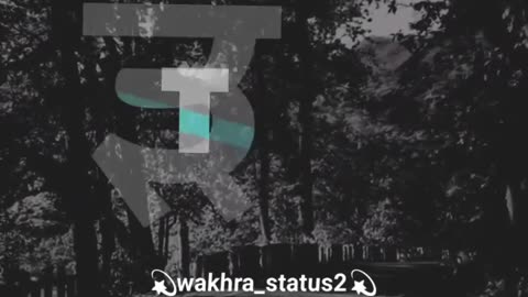 Status video