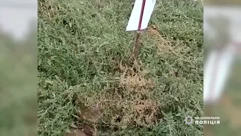 Police explosives deminers demined the bridge in Balaklea, under which orcs had planted 400 kg of e