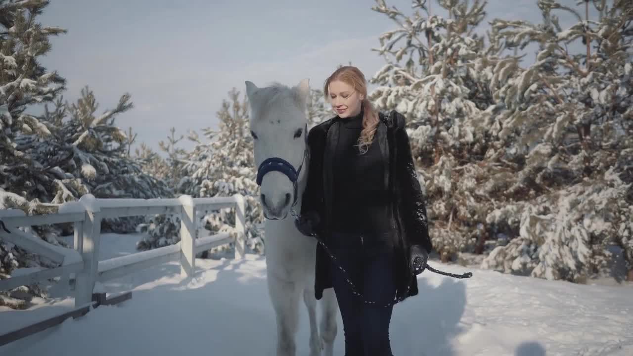 Adorable blonde strokes and feeds her hands a beautiful white horse on a snowy country ranch