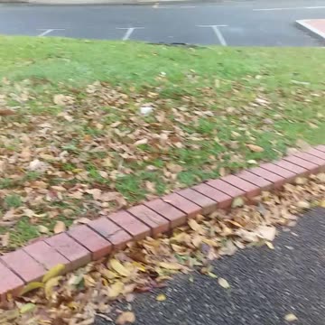 6.9.2024 Things that make us go hmmm...