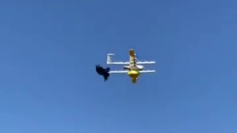 Drone vs BIRD