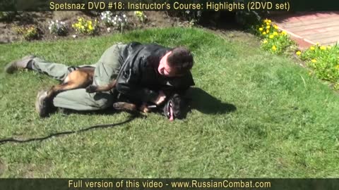 Self defense tips against dog attack