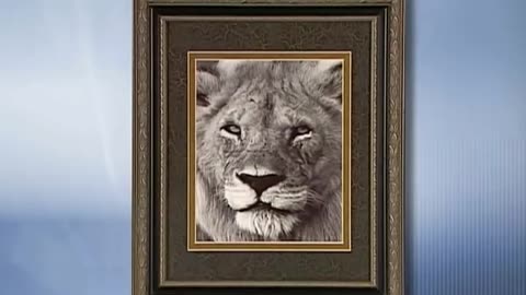 LOGAN DIY Picture Framing Tips and Tricks