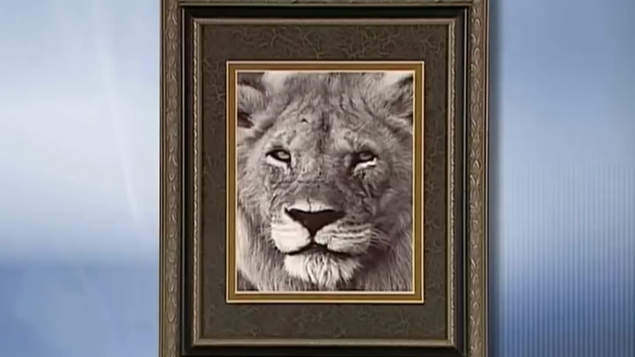 LOGAN DIY Picture Framing Tips and Tricks