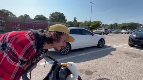 i took my duck to Chipotle