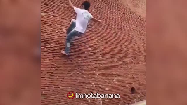 memes fonny videos21