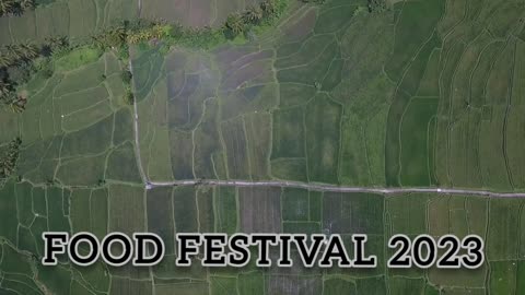 Promotional Short Video For Food festival