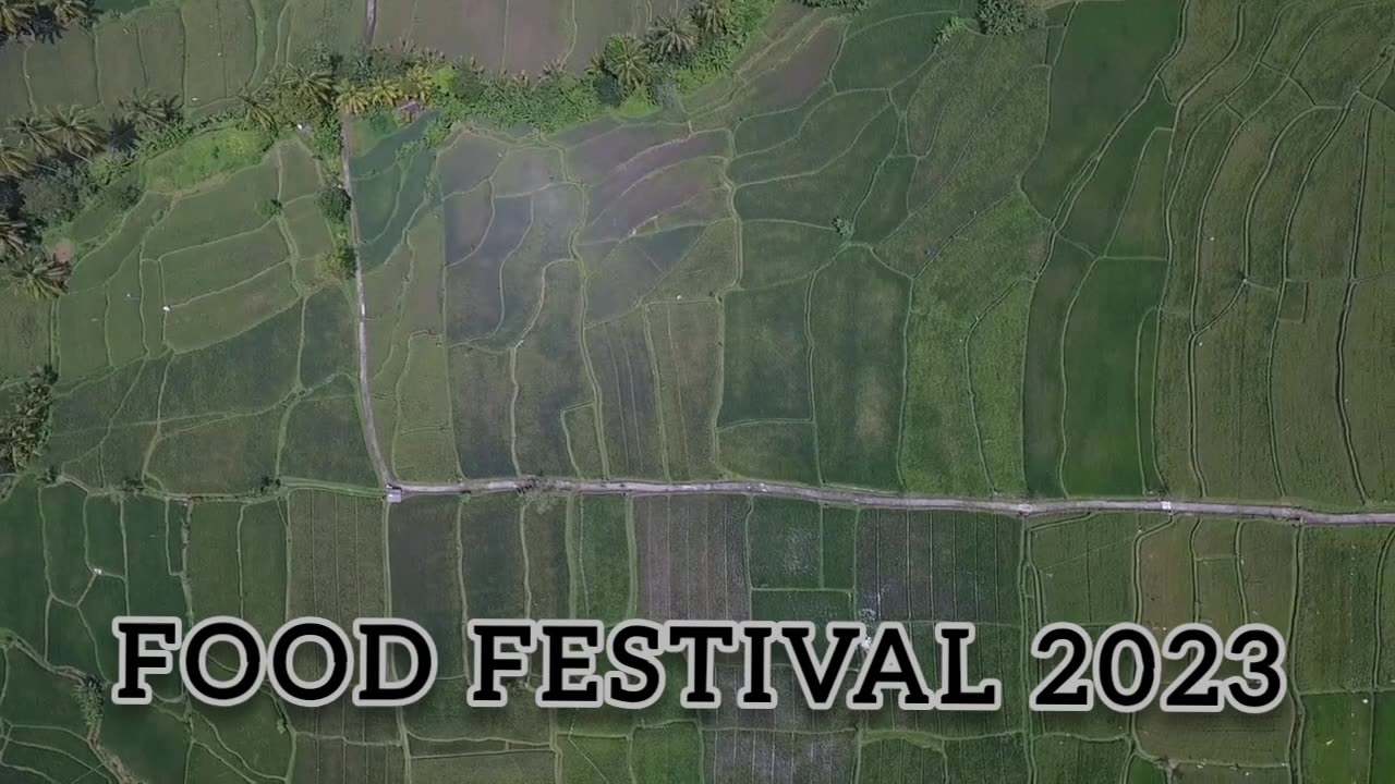 Promotional Short Video For Food festival