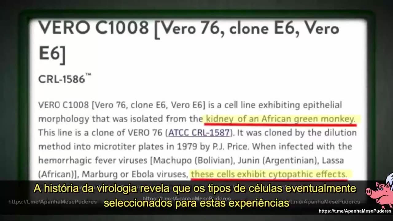 "Não existem vírus nem contágio, toda virologia é uma farsa"