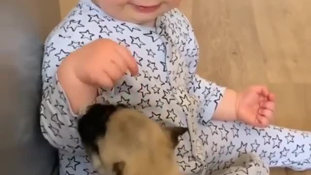 Baby and puppy playing