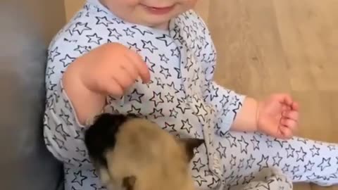 Baby and puppy playing