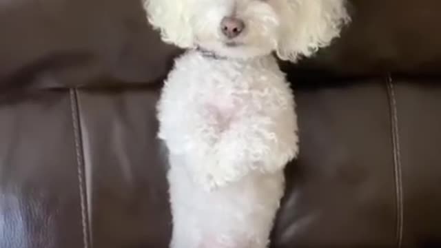 QUINCY’S MOST VIRAL TIKTOKS COMPILATION
