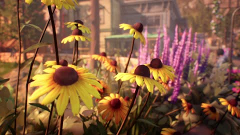 22/10/04 Life Is Strange : True Colors - épisode 1