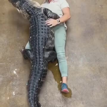 Are you ready for this hug