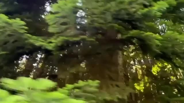 Beautiful Nature