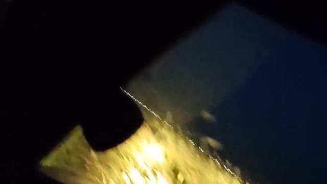 night city of pavlodar