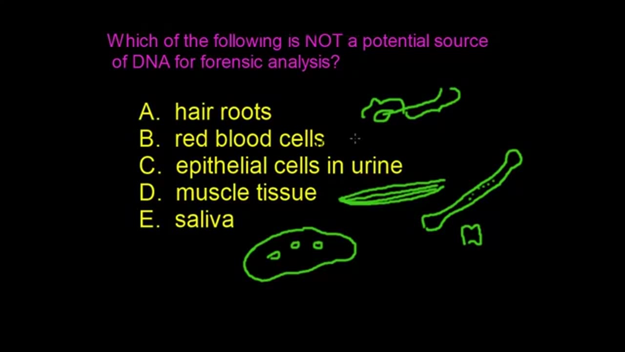 Forensic analysis of DNA