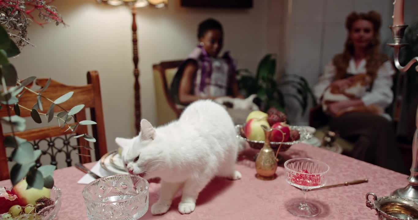 Cat.inting food