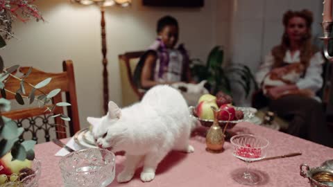 Cat.inting food