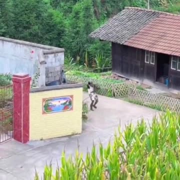 Doing this may have been a Mistake!!