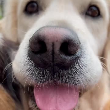 Get ur motors runnin!