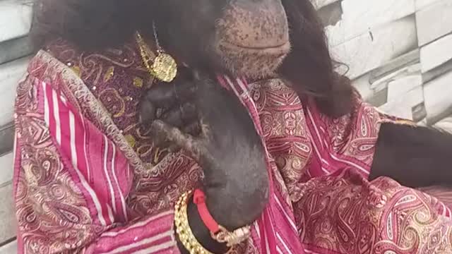 Amazing 1