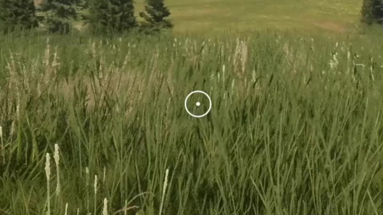 The Great White Buffalo aka Albino Bison (Hunter Call of the Wild)