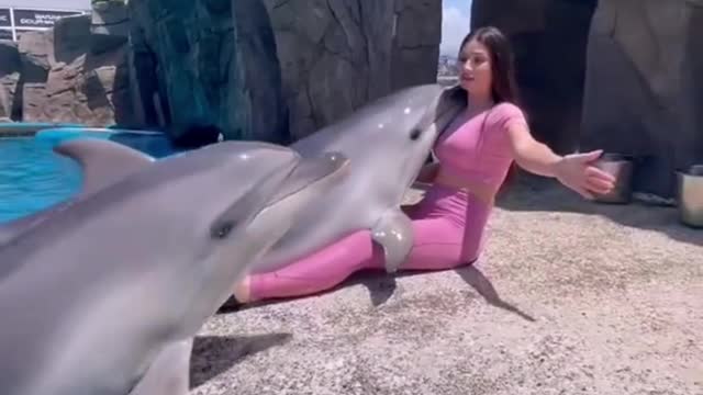 dolphin love with beautiful girl 😍