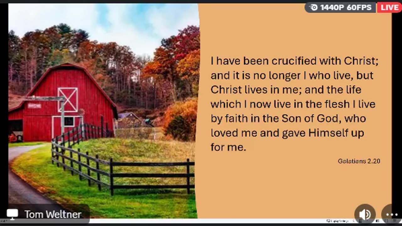 Shepherds Heart Fellowship - The Blood, The Cross... - Ep40 - Oct. 15, 2024