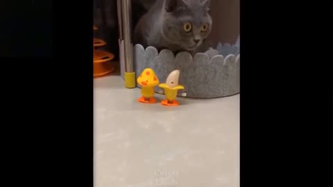 Cute and funny cats and dogs try not to laugh