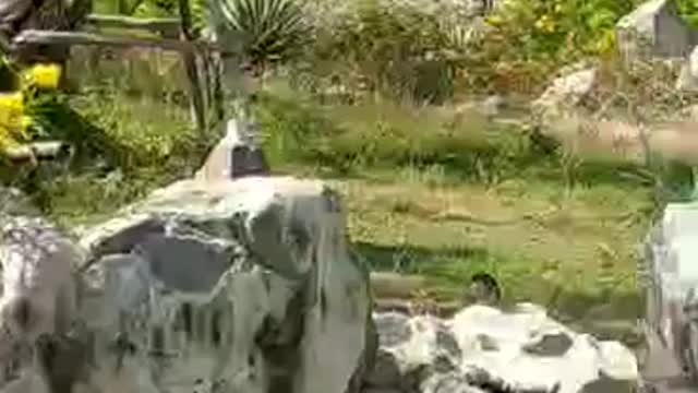 Artificial beauty of man