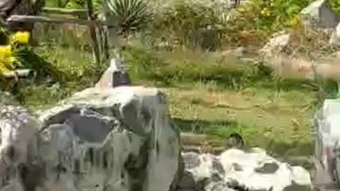 Artificial beauty of man