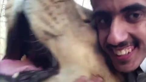 This Saudi plays with wild animals!