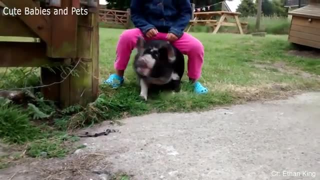 Funny Different Animals Chasing and Scaring People