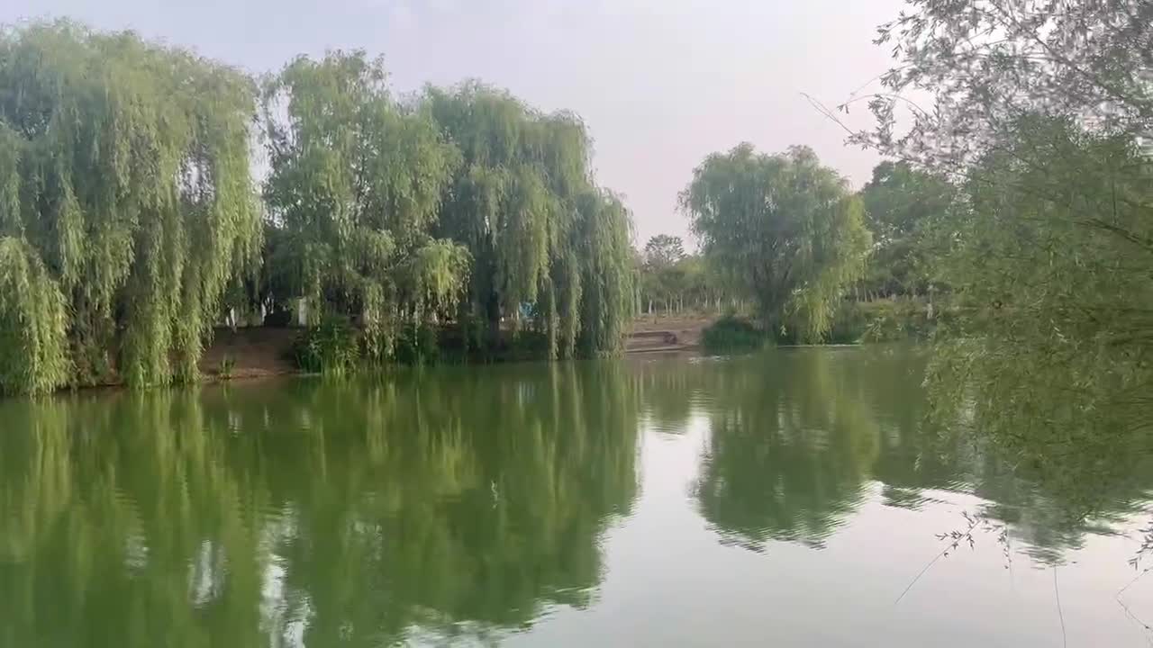 The clear water of the lake reflected the shadow