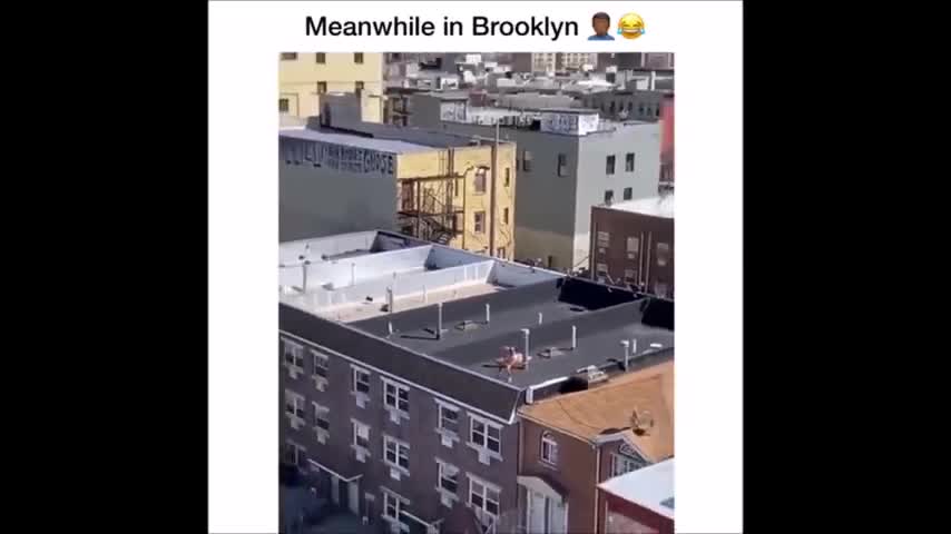 HA! TRY NOT TO LAUGH FUNNY INSTAGRAM VIDEOS COMPILATION 2020 FUNNY VINES