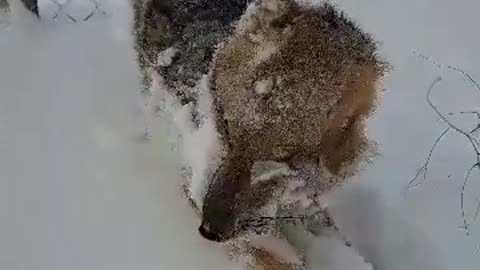 Clima severo y cruel en Argentina