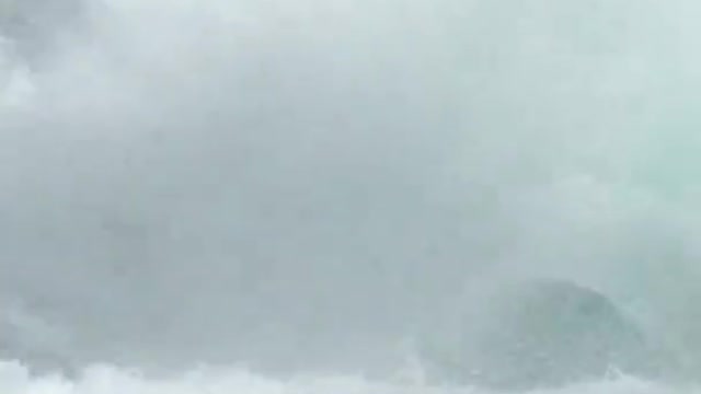 A whale of a time