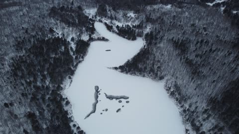 Early Winter Birds Eye View