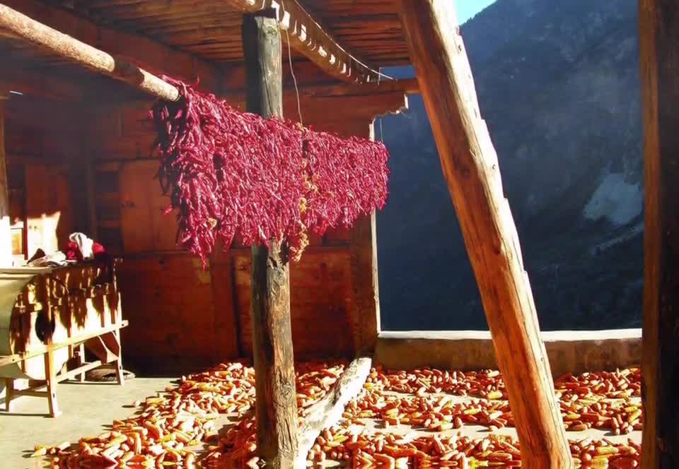 Fiery red pepper