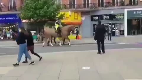 even the horses know what going on 😄