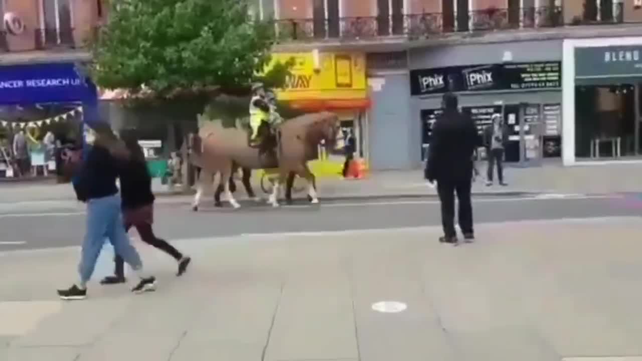 even the horses know what going on 😄