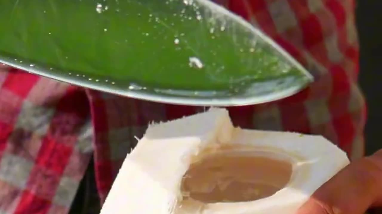 fantastic coconut peeling style